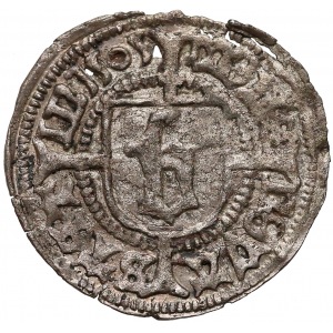 Bogusław X, Wit Szczecin 1505