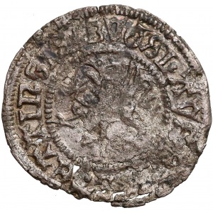 Bogusław X, Wit Szczecin 1505