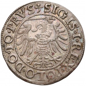 Zygmunt I Stary, Grosz Elbląg 1539