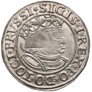 Zygmunt I Stary, Grosz Toruń 1532 - bardzo ładny