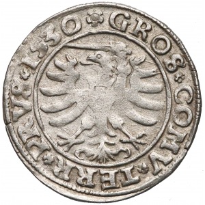 Zygmunt I Stary, Grosz Toruń 1530