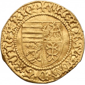 Władysław Warneńczyk, Goldgulden bez daty (1440-44) rzadki