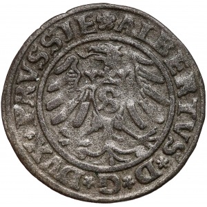 Albrecht Hohenzollern, Szeląg Królewiec 1531