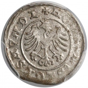 Zygmunt I Stary, Półgrosz Kraków 150? - PCGS AU58