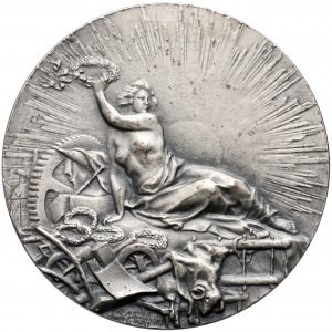 1898r. Medal Muzeum Przemysłu i Rolnictwa w Warszawie (Wittig)