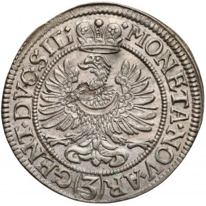 Ludwika, 3 krajcary Brzeg 1673