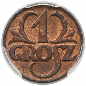 1 grosz 1923 - PCGS MS 64 RB