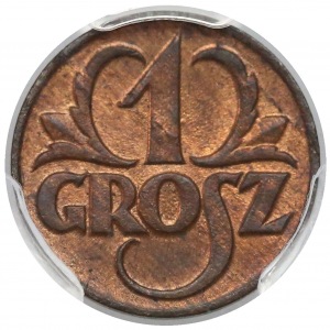 1 grosz 1923 - PCGS MS 64 RB