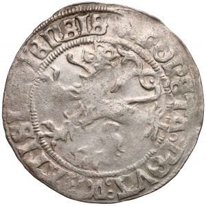 Władysław II Jagiellończyk, Grosz Wrocław bez daty