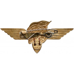 ZSRR, Odznaka lotnika-kosmonauty 2 klasy