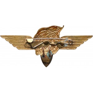 ZSRR, Odznaka lotnika-kosmonauty 1 klasy