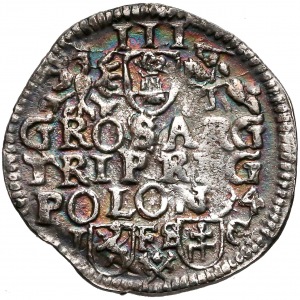 Zygmunt III Waza, Trojak Bydgoszcz 1594 - hybryda