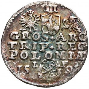 Zygmunt III Waza, Trojak Olkusz 1591 - ze znakiem