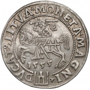 Zygmunt II August, Grosz na stopę litewską 1555, Wilno (R5)
