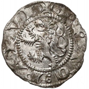 Czech, Wenceslaus II, Parvus