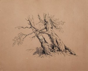 Jean PESKÉ (1870-1949), Studium drzewa