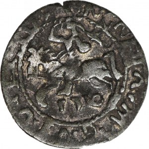 R-, Zygmunt II August, Półgrosz 516, Wilno, fałszerstwo z epoki