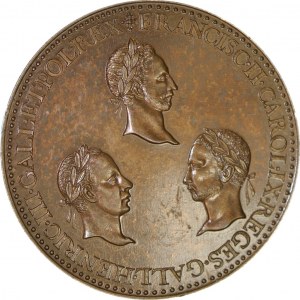 Medal Katarzyna Medycejska i 3 synowie w tym Henryk III król Polski. Czapski nie notuje. Piękny lustro