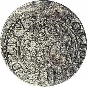 Zygmunt III Waza, Szeląg 1624, Wilno