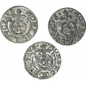 Lot 3 szt., Lenne Prusy Książęce, Jerzy Wilhelm, Półtoraki 1624, 1625, 1626, Królewiec