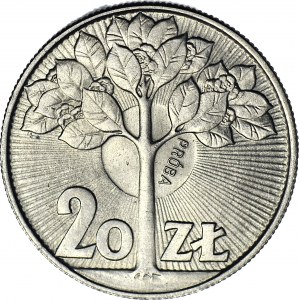 20 złotych 1973 Drzewo, próba MN