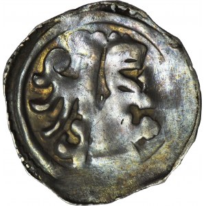 Austria, denar, pół orzeł pół lew, XIII w.