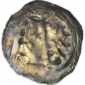 Austria, denar, pół orzeł pół lew, XIII w.