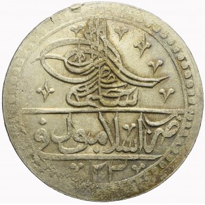 Turcja, Yuzluk, AH1203, 5 rok panowania (1793)