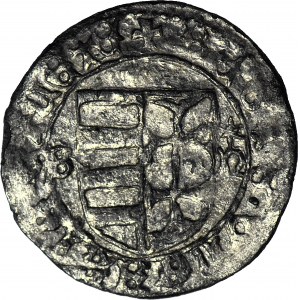 Węgry, Władysław Warneńczyk 1440-1444, Denar z orłem polskim