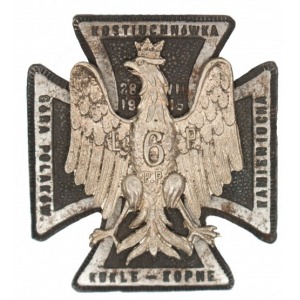 Odznaka 6 Pułk Piechoty Legionów