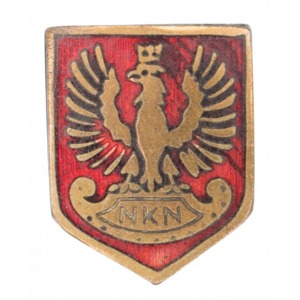 Odznaka Naczelnego Komitetu Narodowego