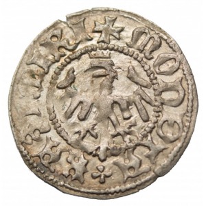 Casimir IV Jagiellon halfgroat