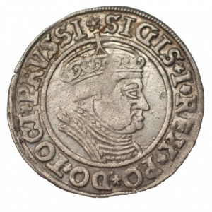 Zygmunt I Stary grosz pruski 1535