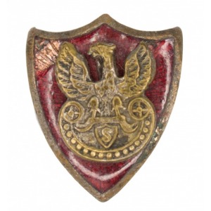 Odznaka Orzeł Strzelecki na czerwonej tarczy