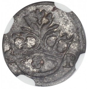 Sigismund I the Old denar Kraków SP NGC MS61