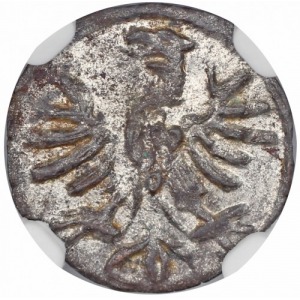 Sigismund I the Old denar Kraków SP NGC MS61