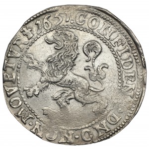 Niderlandy talar lewkowy 1651 (Leeuwendaalder) Geldria
