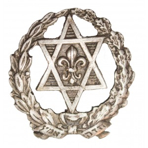 Jewish scout organisation Hashomer Hatzair badge