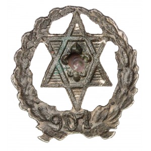 Jewish scout organisation Hashomer Hatzair badge