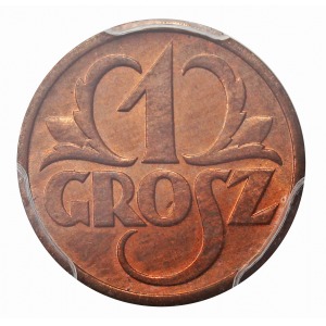 Investment set 5 pieces 1 grosz 1938 PCGS MS 64 RD