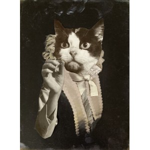 Edyta Ciosek Collages, Opowiedz mi o grawitacji
