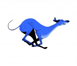 Joanna Dudoń, Greyhounds Illustration - running