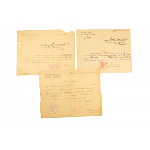 [KONIN] Zespół 3 dokumentów Inspektora szkolnego okręgu konińskiego, lata 1918-1919