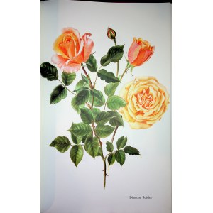 BOESCH Gottfried - Roses - ALBUM Watercolors and drawings by Lotte Gunthart-Maag