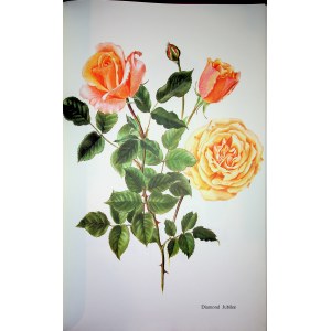 BOESCH Gottfried - Růže - ALBUM Akvarely a kresby Lotte Gunthart-Maagové