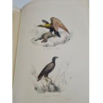 BUFFON - OEUVRES COMPLETES Paris 1839 KNIHA CHARTORIES BAREVNÉ ILUSTRACE KRÁSNÁ KOLEKCE