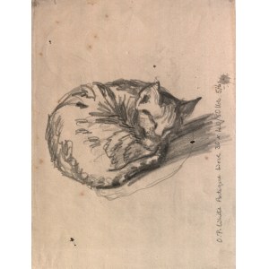 GOTLIB, HENRYK (1890-1966). Śpiący kot