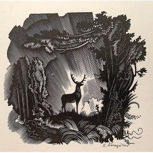 Edward Kuczynski, Deer, 1948