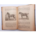 Prawocheński R. - Pochodenie, pokrój i rasy koni [59 obr. ] Varšava 1922
