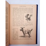 Steuert L. - The domestic animal in health and disease - Manual - Poznań 1923.